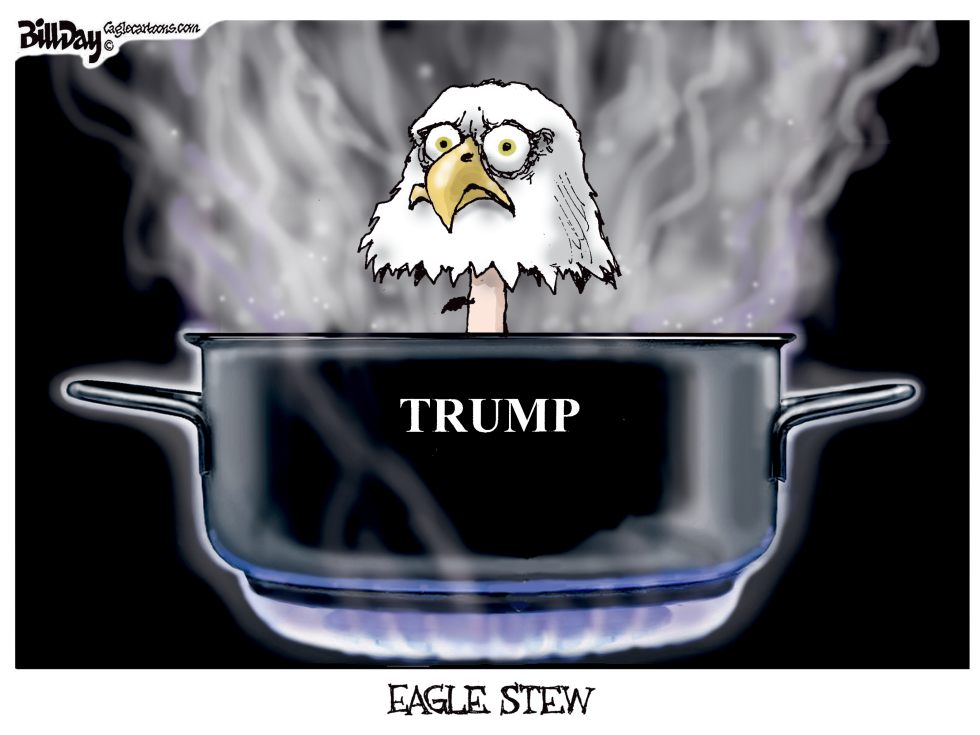 Eagle Stew