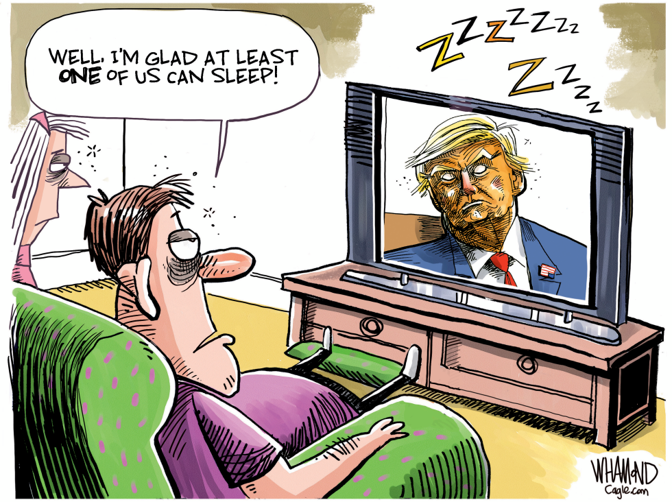 Sleepy Don