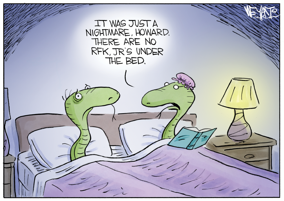 Snake Nightmares