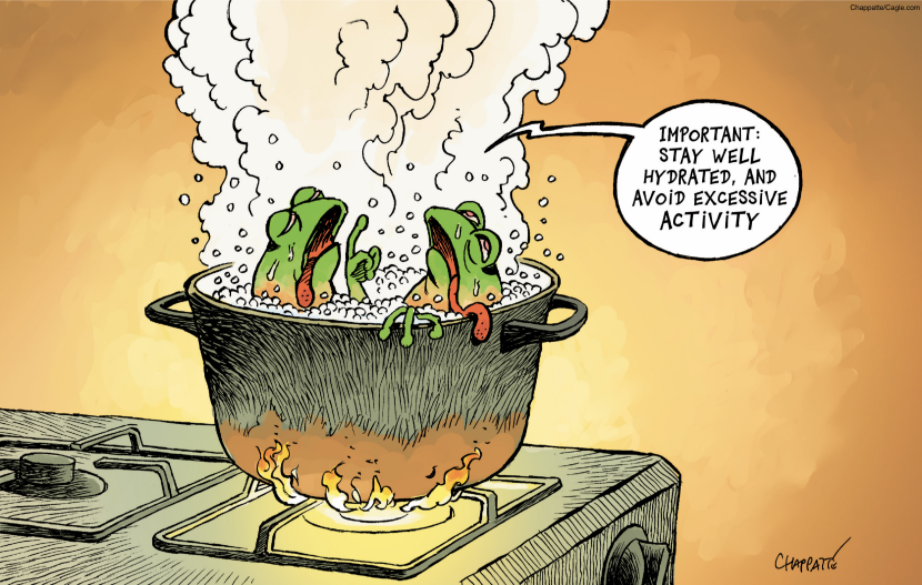 The frog metaphor