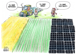 A FARMER PLANTED ENERGY by Gatis Sluka
