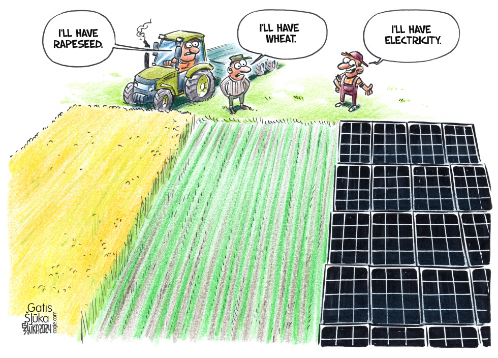 A farmer planted energy