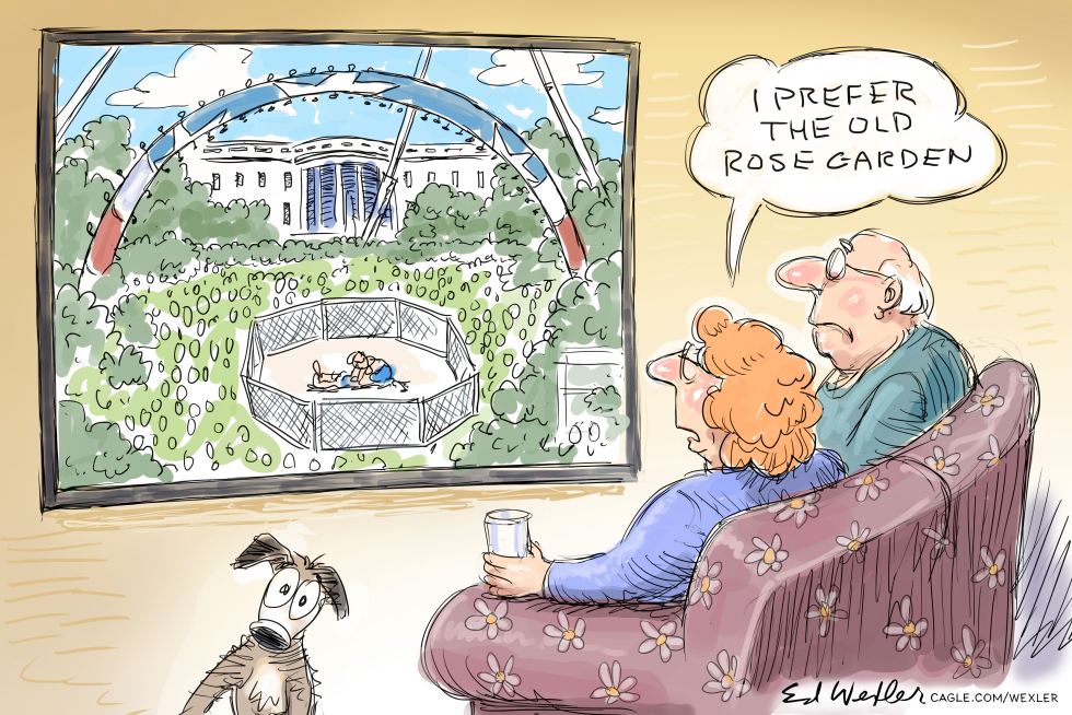 I Prefer The Old Rose Garden