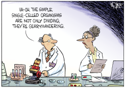 MICRO GERRYMANDERING by Christopher Weyant