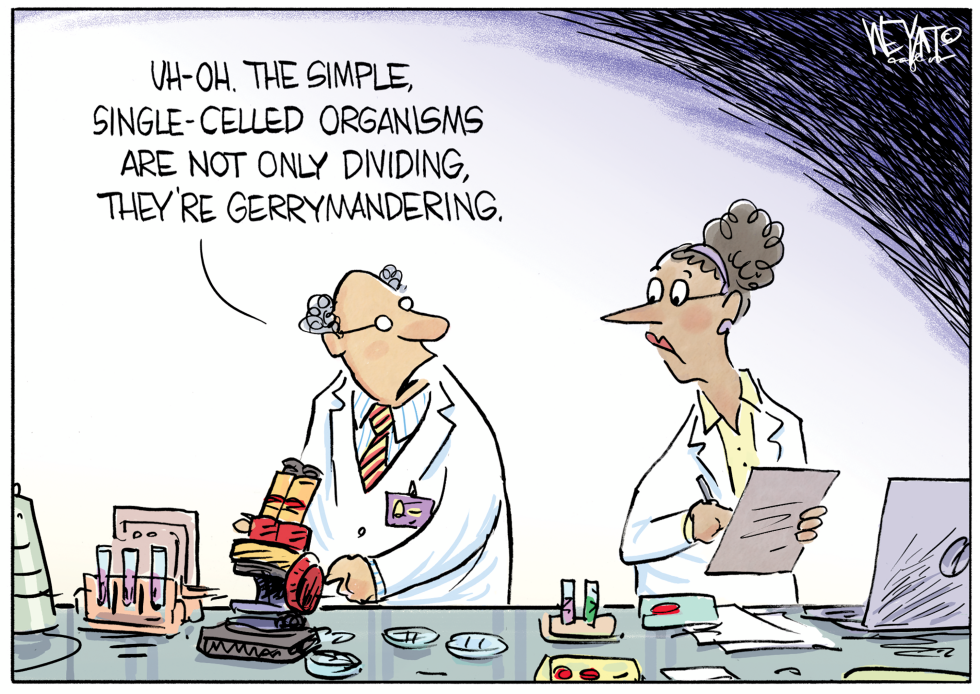Micro Gerrymandering