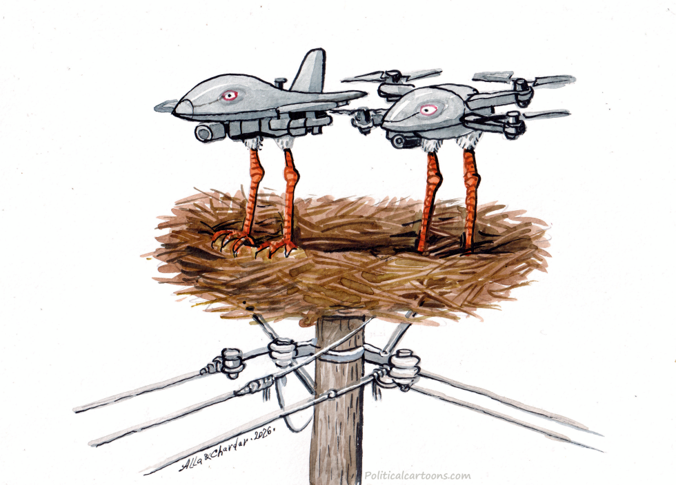 The New Storks