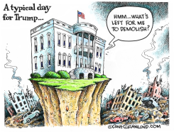 TRUMP DESTRUCTION by Dave Granlund