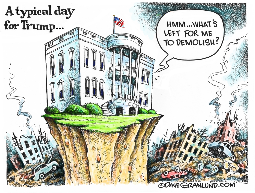 Trump destruction