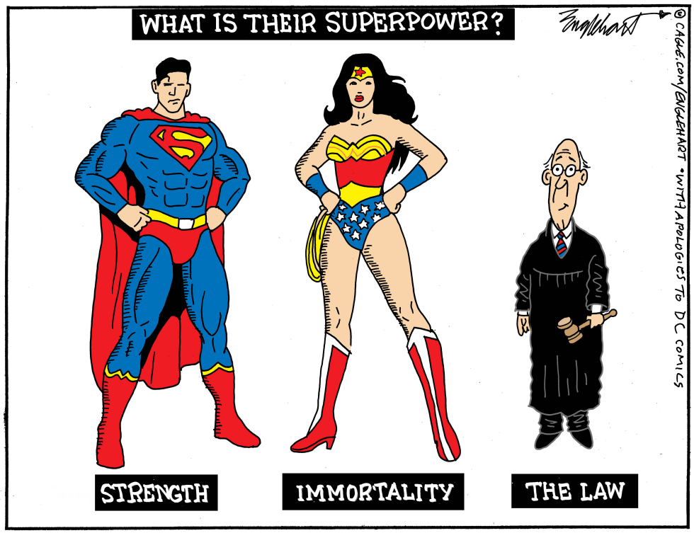 Courts Saving Us From Trump Excesses