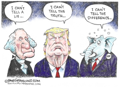 TRUTH AND LIES by Dave Granlund