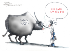DEMOCRAT COMMUNICATION WITH MALE VOTER FAILURES by Dick Wright