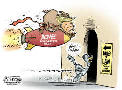 COYOTE TRUMP AND ROADRUNNER ABREGO GARCIA by John Cole