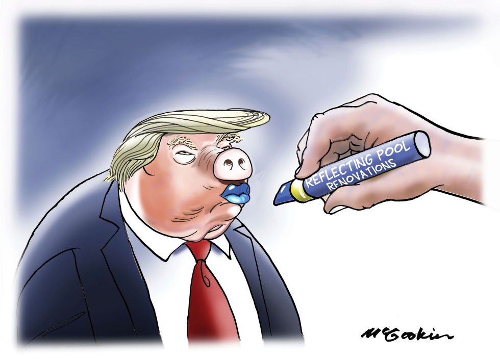 Trump's Reflection Pool Makeover