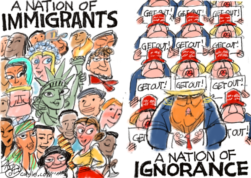 Immigration Divide