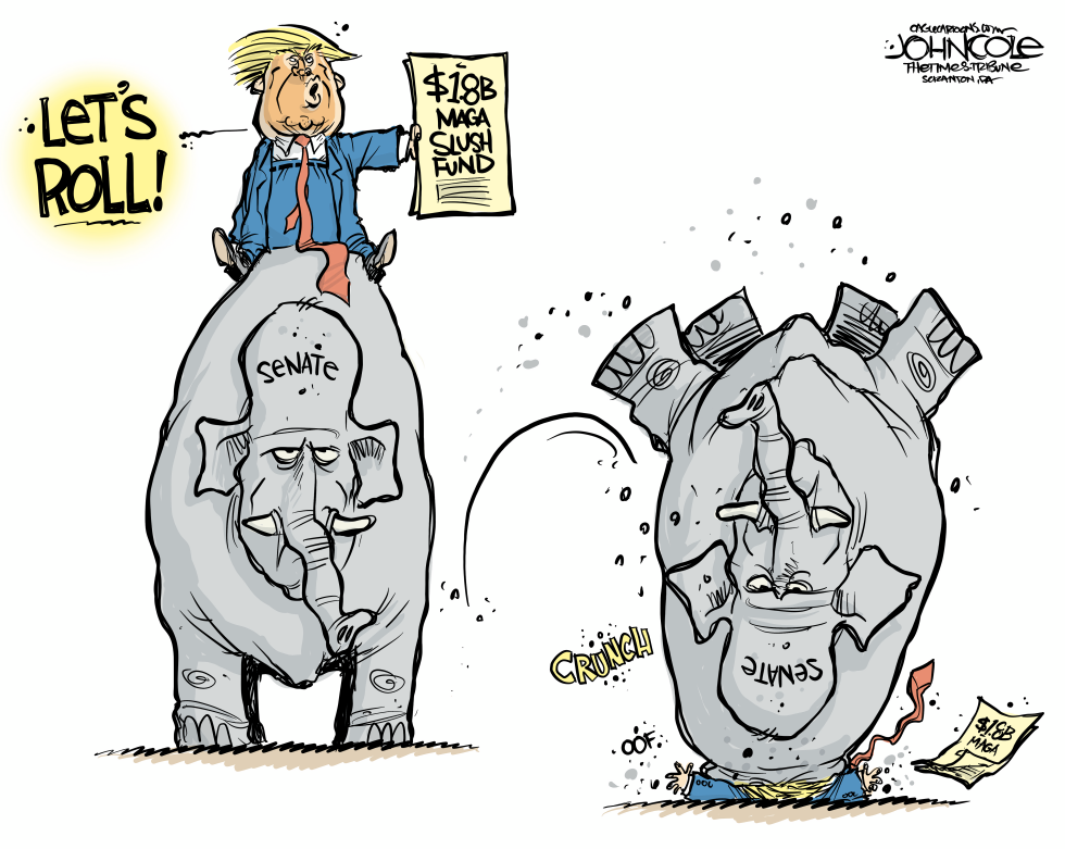 Senate rebels against Trump slush fund
