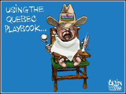 QUEBEC PLAYBOOK by Terry Mosher