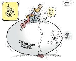 NC THE LAME DUCK'S OVERDUE EGG by John Cole