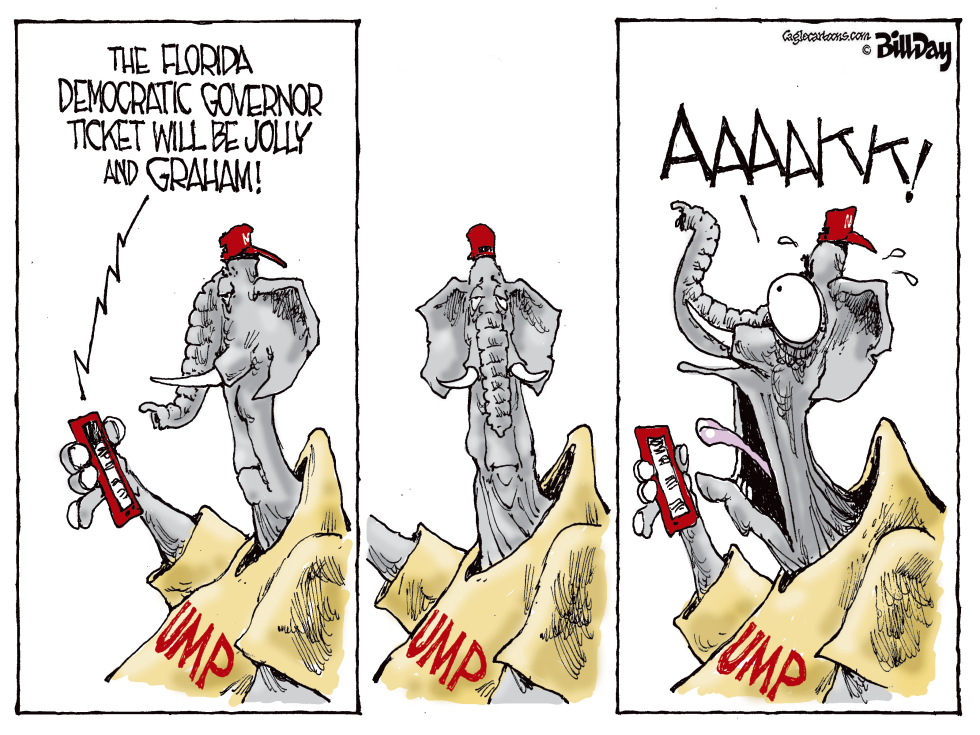 Florida Democratic Ticket