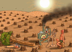 THE LAST GLOBAL WARMING TREE by Marian Kamensky