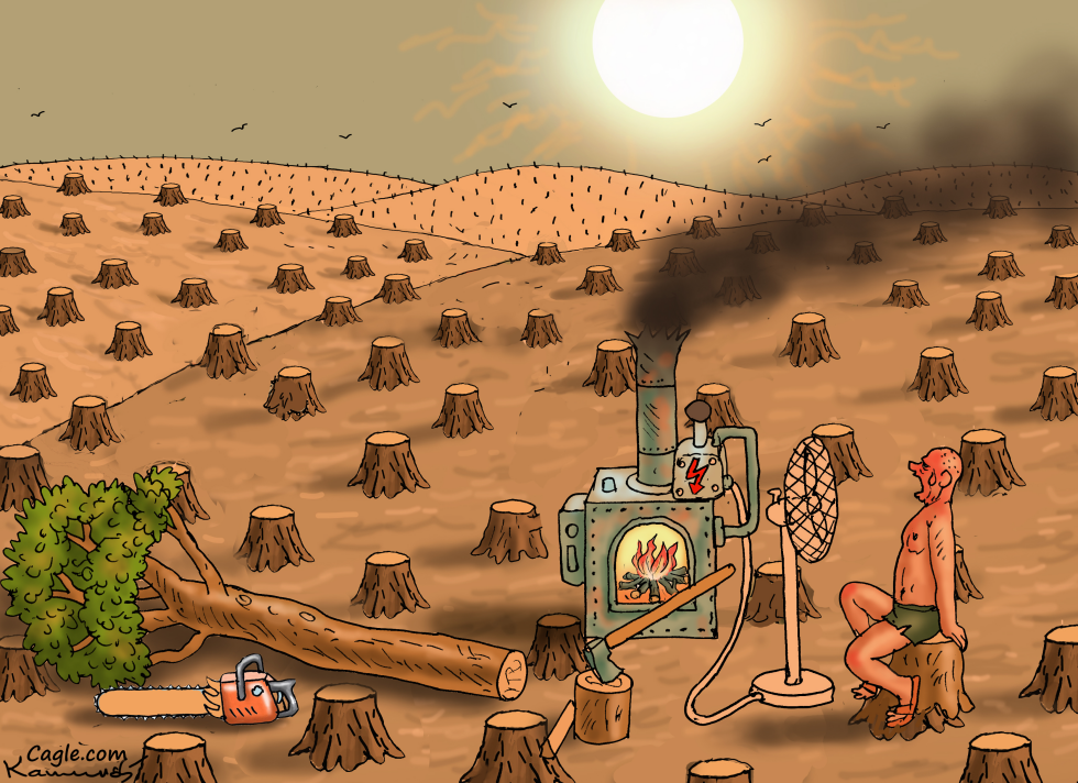 THE LAST GLOBAL WARMING TREE