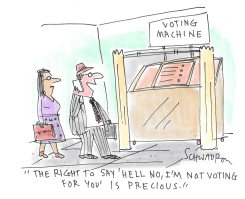VOTER CHOICES by Harley Schwadron