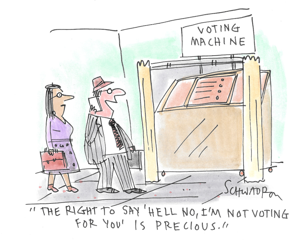 Voter Choices