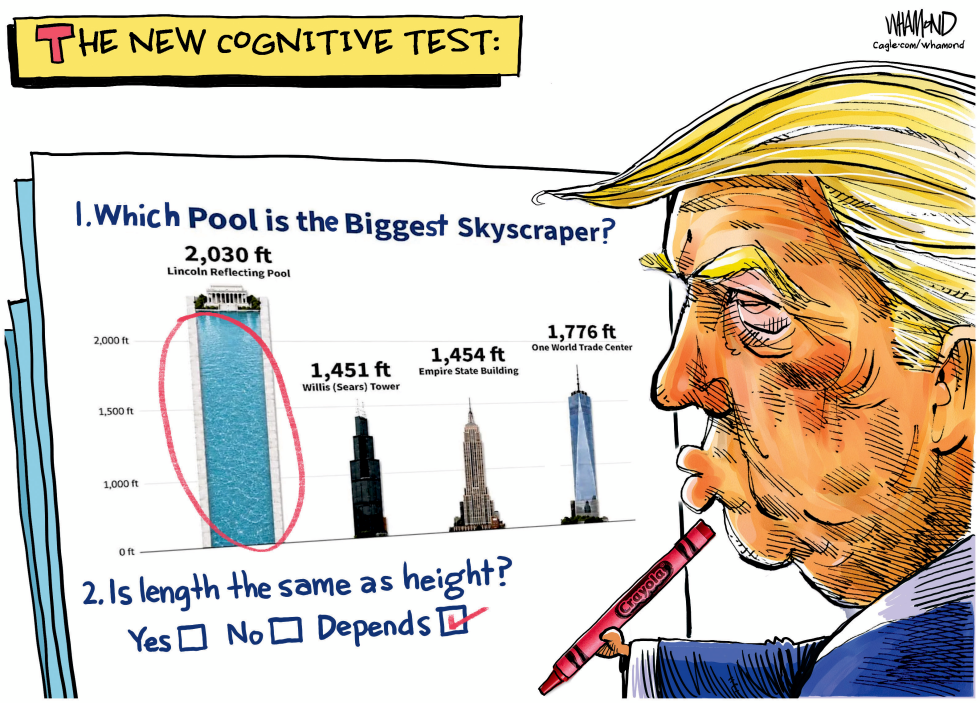 New Cognitive Assessment Test