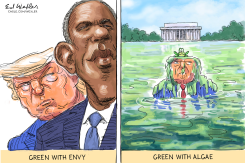 GREEN WITH ENVY GREEN WITH ALGAE by Ed Wexler