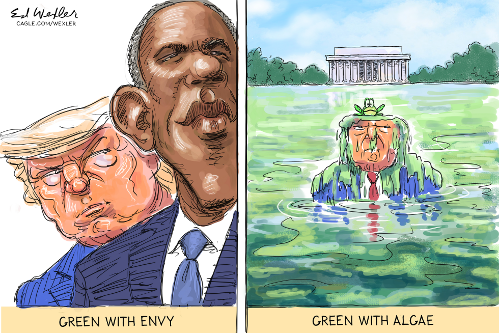 Green With Envy Green With Algae