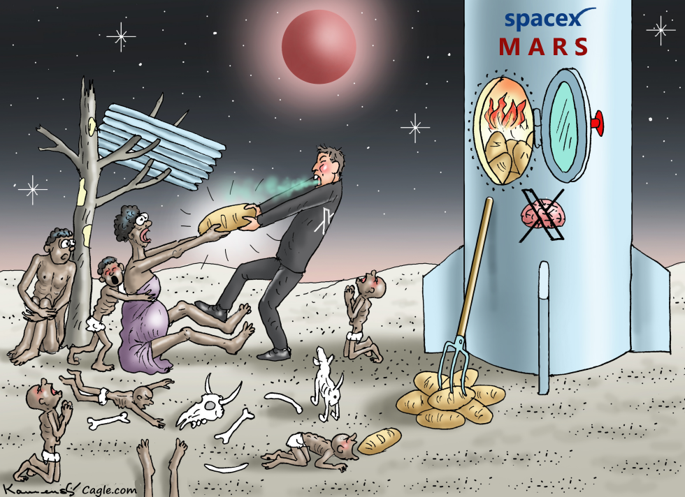 MUSK IN A FASCIST MADNESS