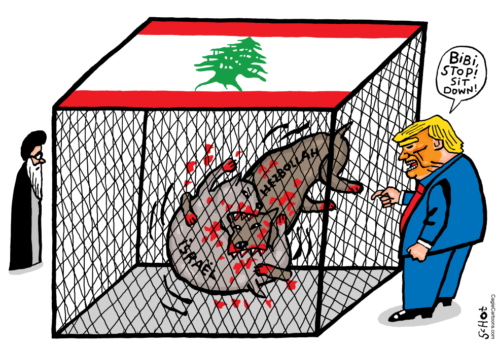 Cage dog fight in Lebanon
