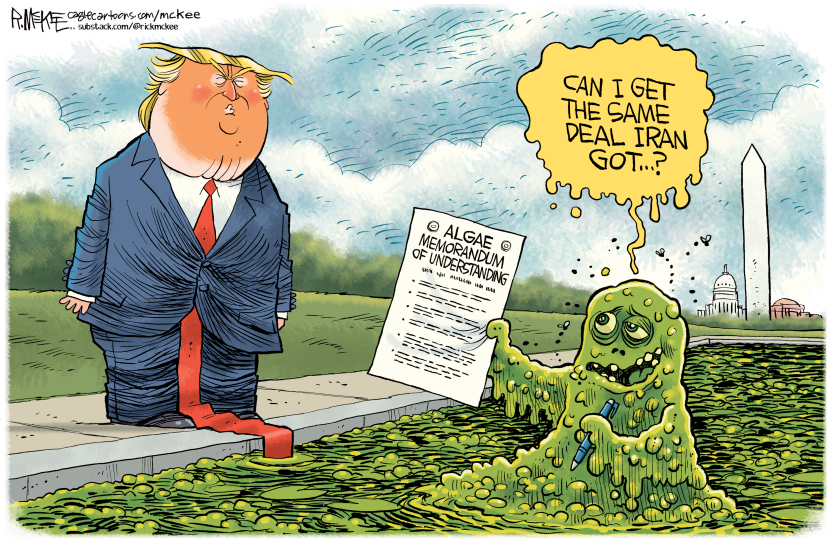 Trump Algae Surrender