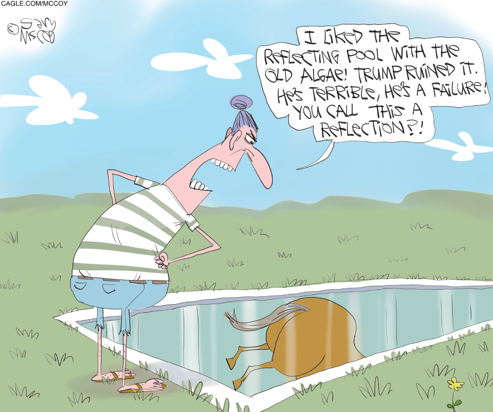 Reflection of Reflecting Pool Critics