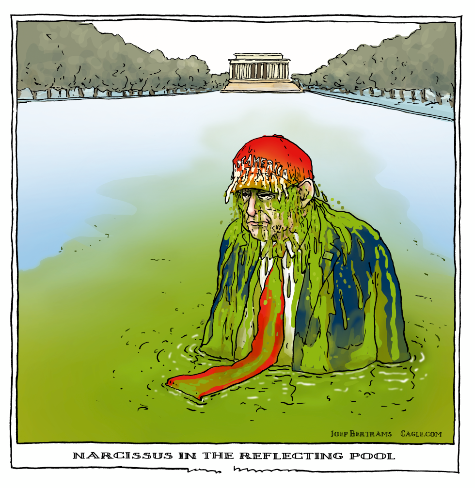 narcissus donald colouring reflecting pool