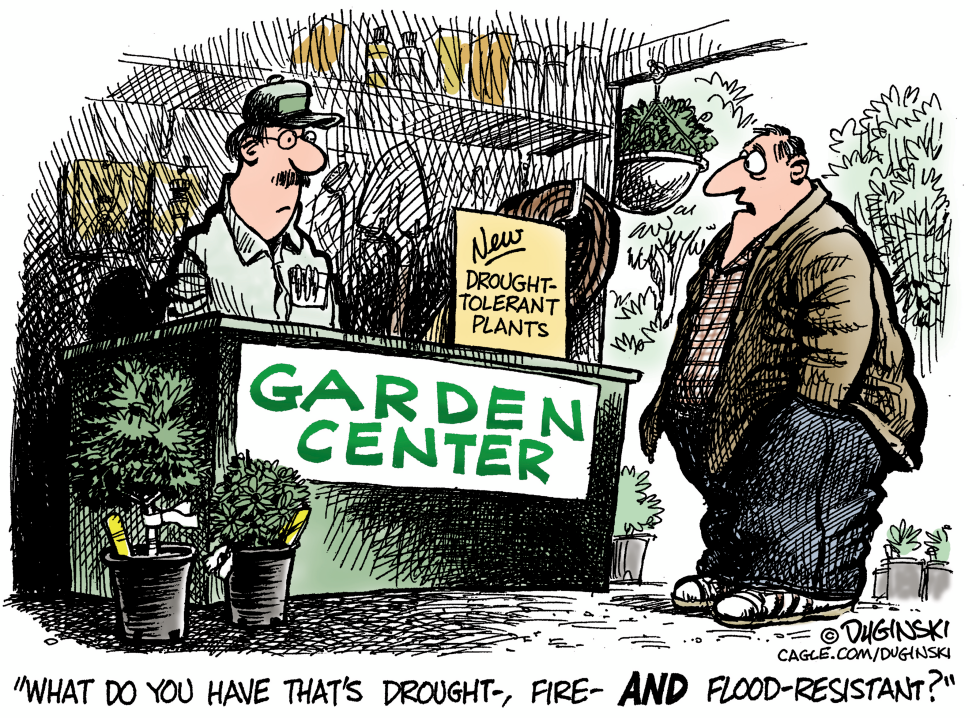 Gardening in the West, come what may