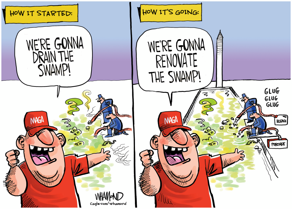 The New Swamp