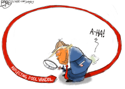 REFLECTING POOL VANDAL by Pat Bagley