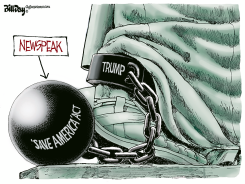 NEWSPEAK - SAVE AMERICA ACT by Bill Day