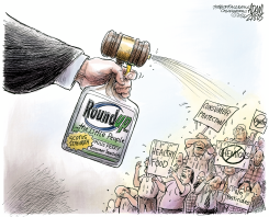 SCOTUS BAYER DECISION by Adam Zyglis