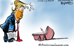 BIRTHRIGHT CITIZENSHIP by Milt Priggee