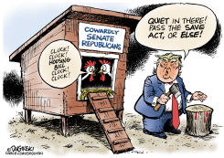 TRUMP'S OBSESSION WITH THE SAVE ACT by Paul Duginski