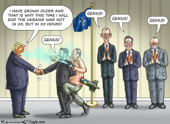 NATO SUMMIT IN TURKEY by Marian Kamensky