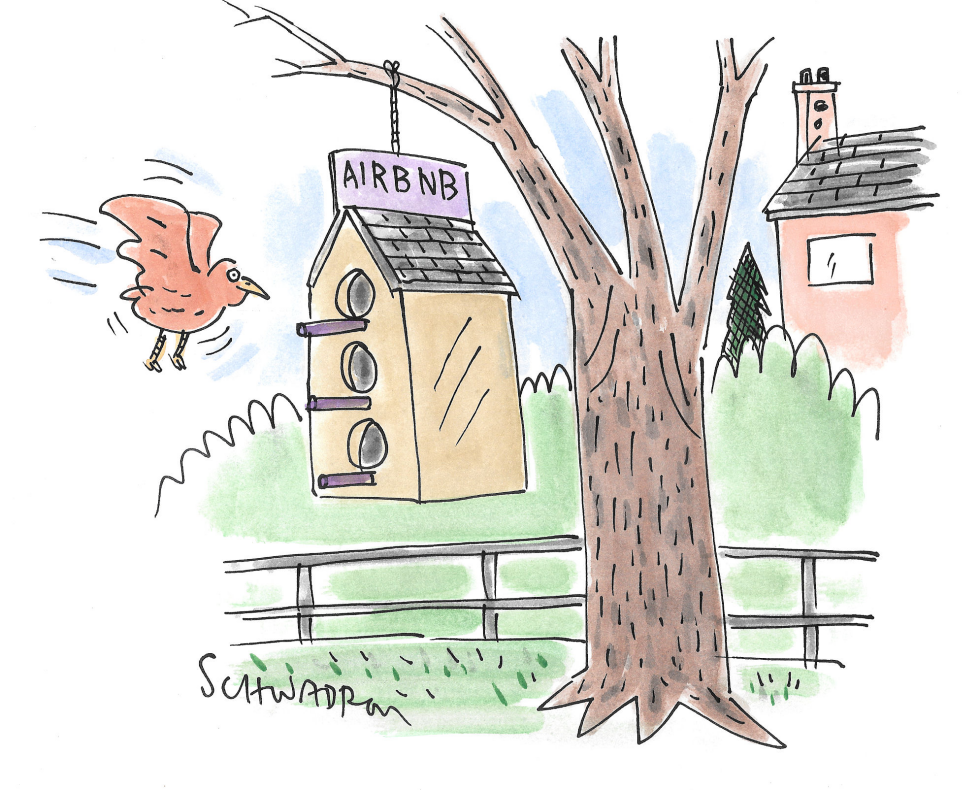 For The Birds