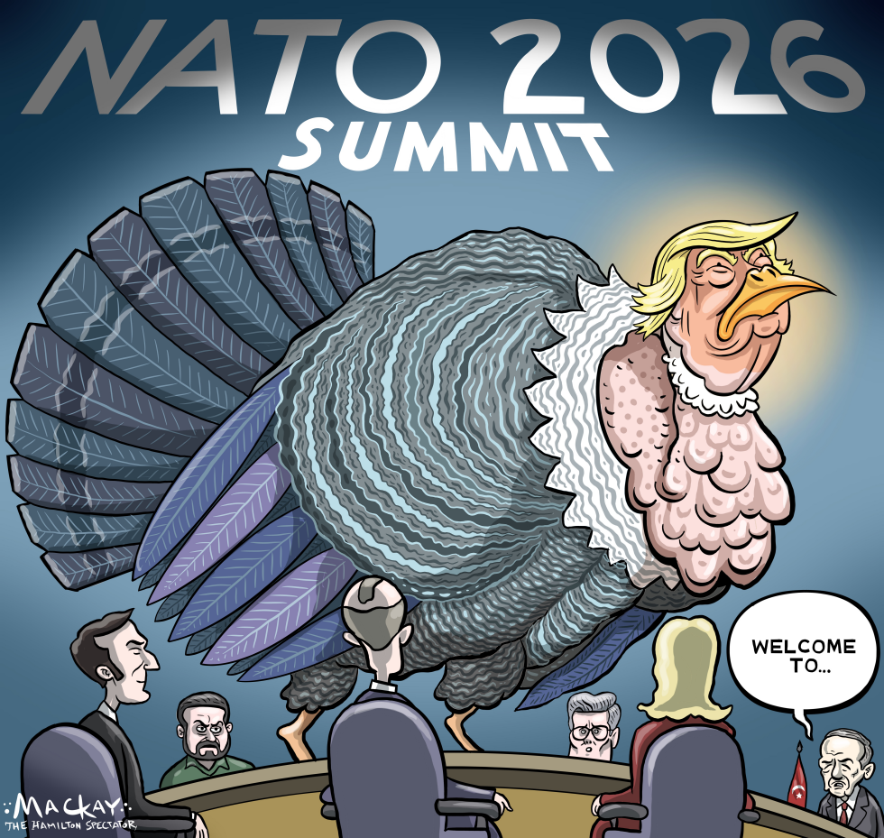 Turkey at the NATO Summit in Turkiye
