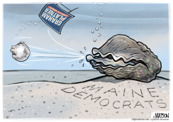 MAINE DEMOCRATS REJECT SENATE CANDIDATE PLATNER by R.J. Matson