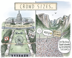 THE TRUMP EFFECT by Adam Zyglis