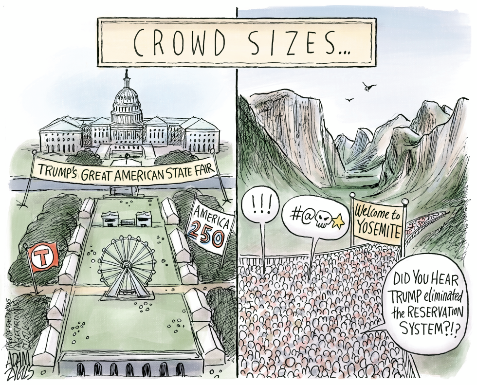 The Trump Effect