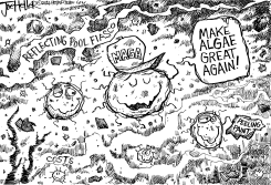 HELLER CARTOON- ALGAE by Joe Heller