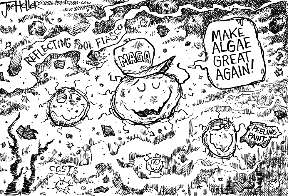 Heller cartoon- Algae
