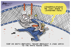 TRUMP LOSES CAGE MATCH TO IRAN by Manny Francisco